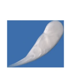 DCL Dermatologic Alpha Beta Gel Exfoliant -Purely Radiant Alpha Beta Gel Exfoliant add3 37659 1555 general